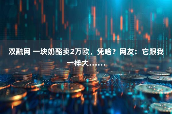 双融网 一块奶酪卖2万欧，凭啥？网友：它跟我一样大……