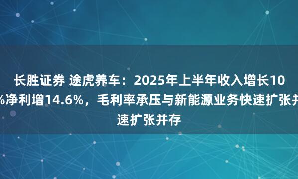 长胜证券 途虎养车：2025年上半年收入增长10.5%净利增14.6%，毛利率承压与新能源业务快速扩张并存