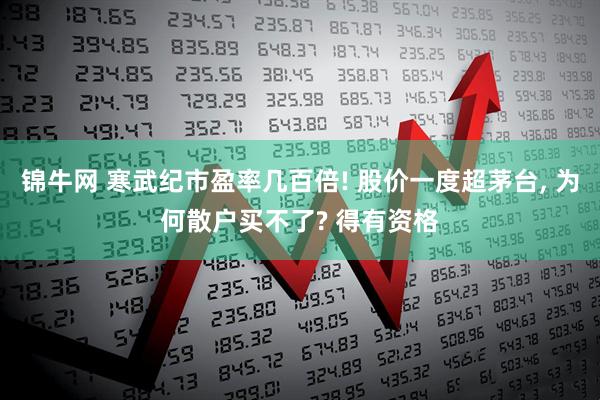 锦牛网 寒武纪市盈率几百倍! 股价一度超茅台, 为何散户买不了? 得有资格
