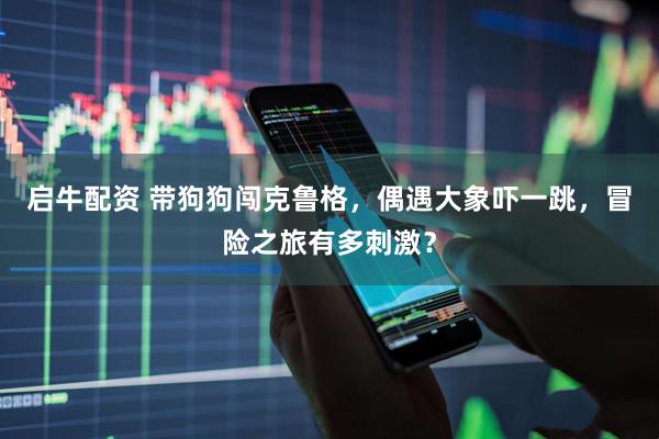 启牛配资 带狗狗闯克鲁格，偶遇大象吓一跳，冒险之旅有多刺激？