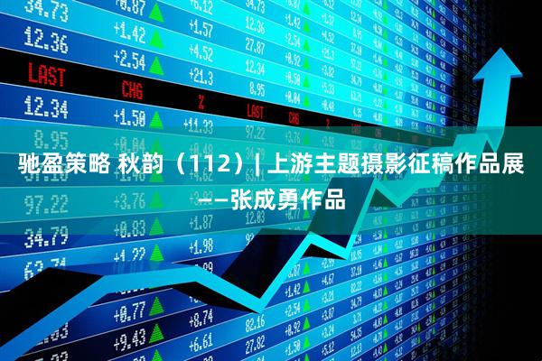 驰盈策略 秋韵（112）| 上游主题摄影征稿作品展——张成勇作品