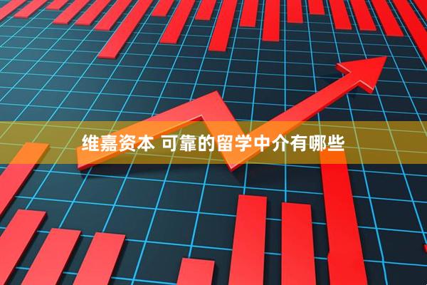 维嘉资本 可靠的留学中介有哪些