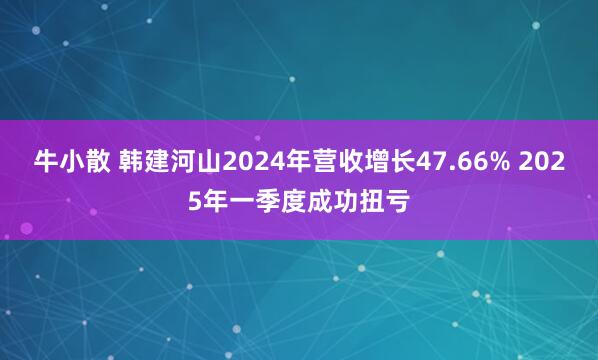 牛小散 韩建河山2024年营收增长47.66% 2025年一季度成功扭亏