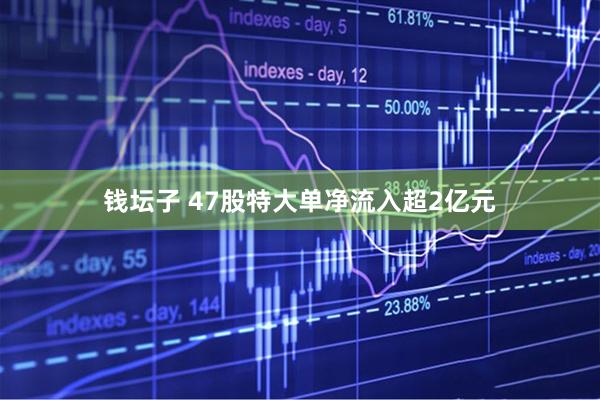 钱坛子 47股特大单净流入超2亿元