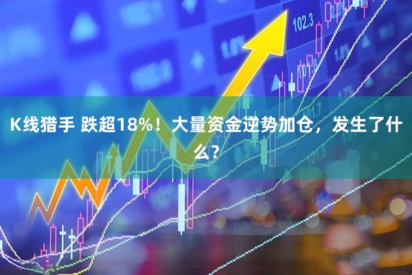 K线猎手 跌超18%！大量资金逆势加仓，发生了什么？